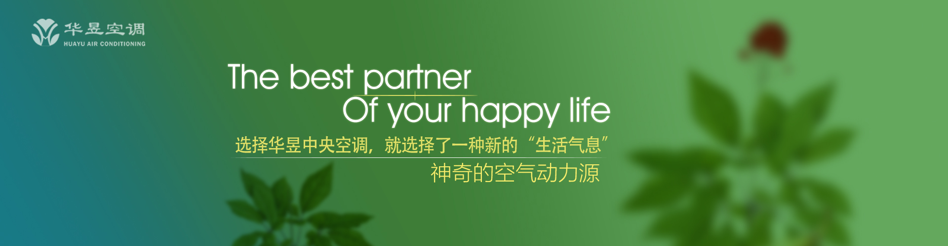 马角乌头网
